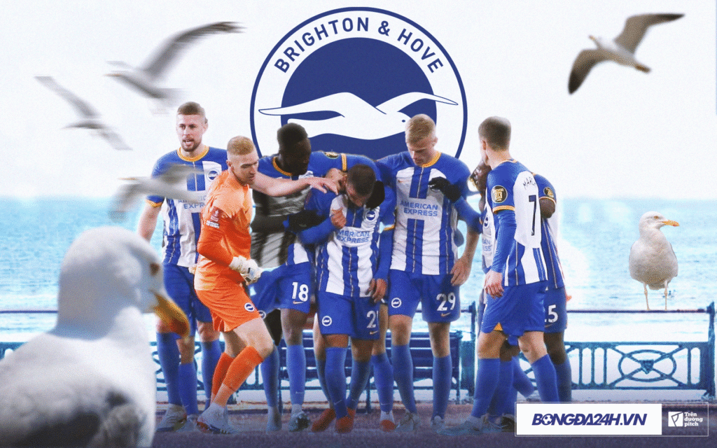 Niềm Tin Brighton: CLB Nhỏ Làm Nên Chuyện Lớn